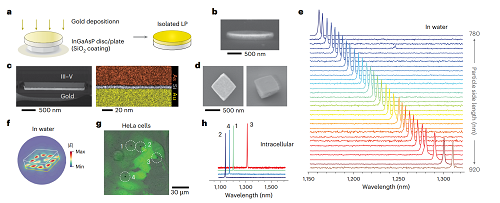 【資訊】等離子體納米激光 | Nature Nanotechnology